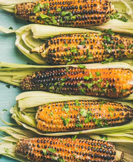 Grilled Corn on the Cob