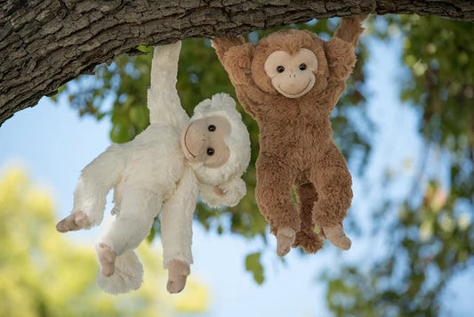 Peluche | Bernard