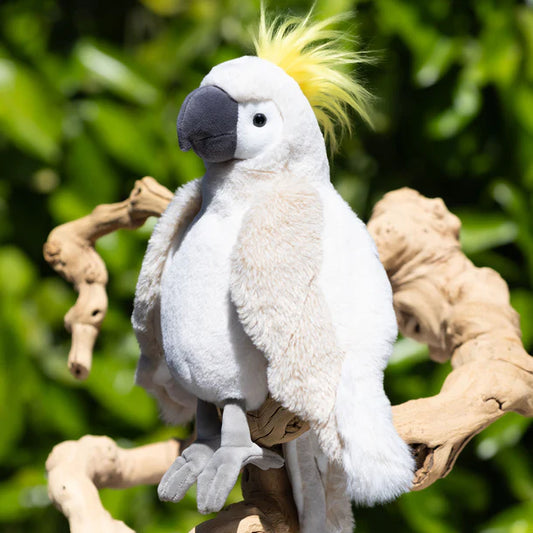 Peluche | Mango